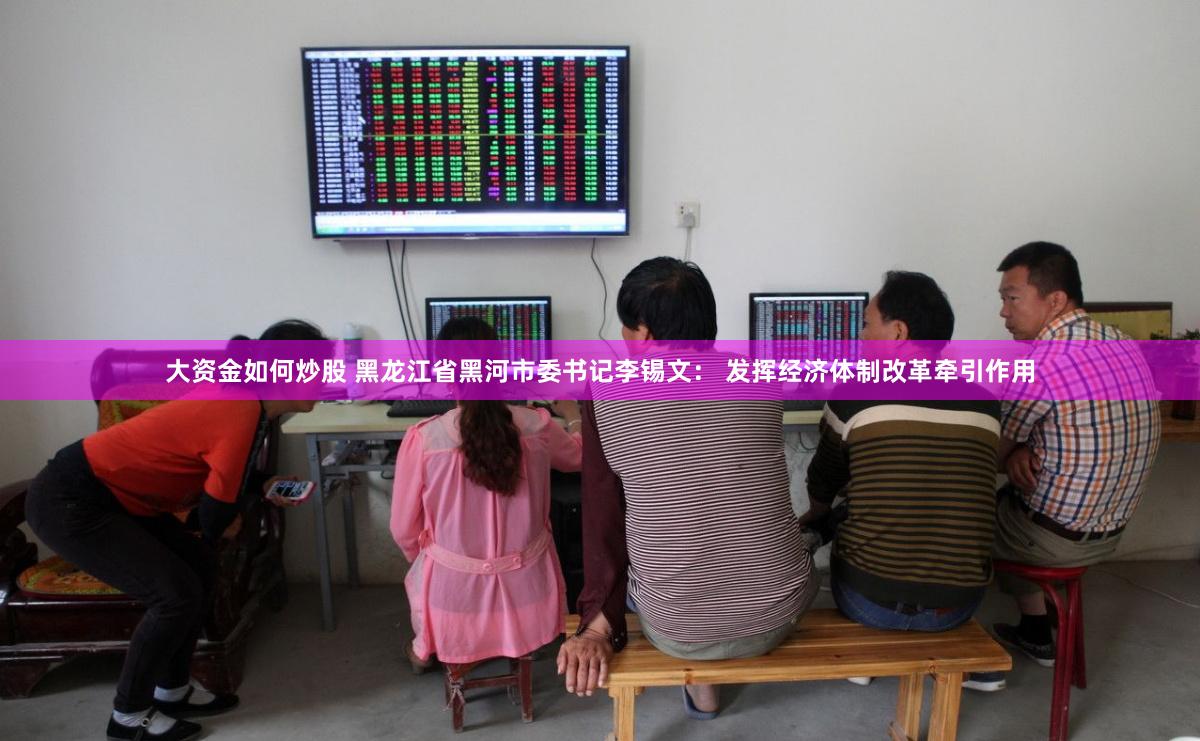 大资金如何炒股 黑龙江省黑河市委书记李锡文： 发挥经济体制改革牵引作用