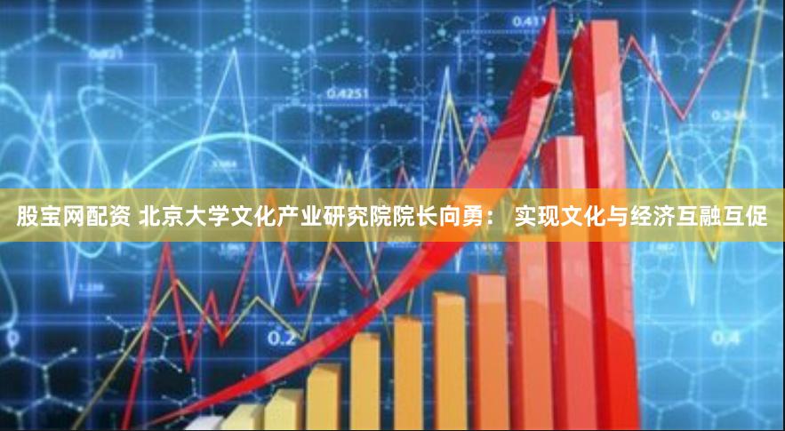 股宝网配资 北京大学文化产业研究院院长向勇： 实现文化与经济互融互促