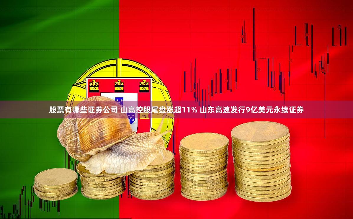 股票有哪些证券公司 山高控股尾盘涨超11% 山东高速发行9亿美元永续证券