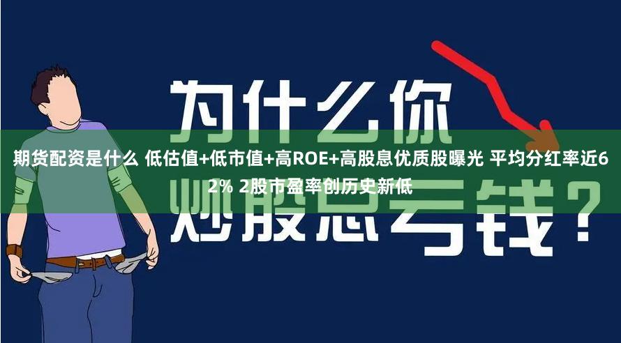 期货配资是什么 低估值+低市值+高ROE+高股息优质股曝光 平均分红率近62% 2股市盈率创历史新低