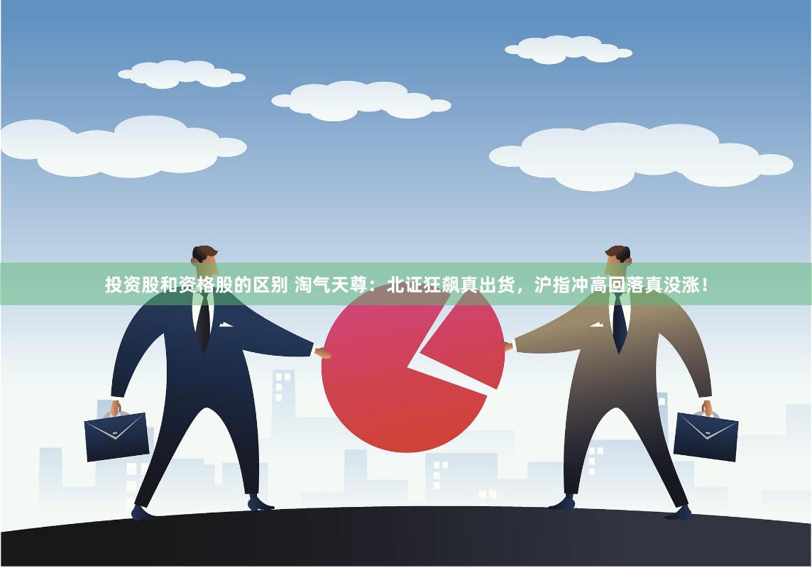 投资股和资格股的区别 淘气天尊：北证狂飙真出货，沪指冲高回落真没涨！