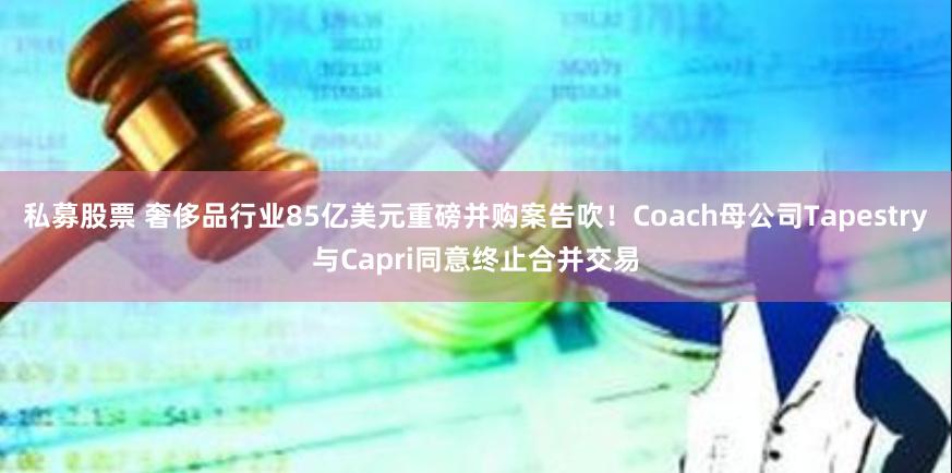私募股票 奢侈品行业85亿美元重磅并购案告吹！Coach母公司Tapestry与Capri同意终止合并交易