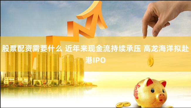 股票配资需要什么 近年来现金流持续承压 高龙海洋拟赴港IPO