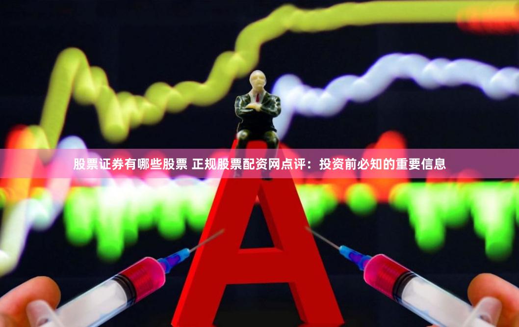 股票证券有哪些股票 正规股票配资网点评：投资前必知的重要信息