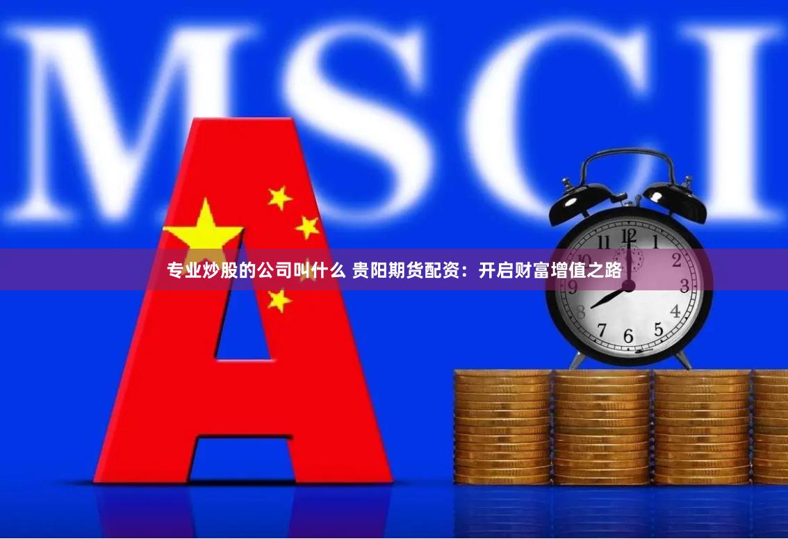 专业炒股的公司叫什么 贵阳期货配资：开启财富增值之路